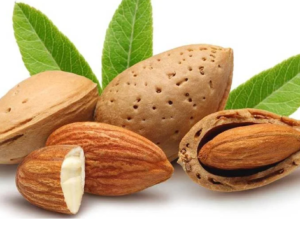 الرئيسية almonds