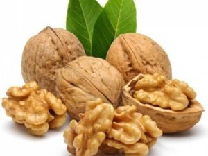 الرئيسية nuts